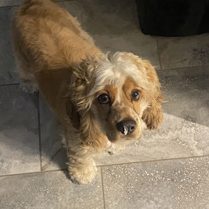 Meet your Posher, Roman